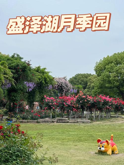 盛泽天气预报，盛泽天气预报60天准确-第6张图片-优品飞百科