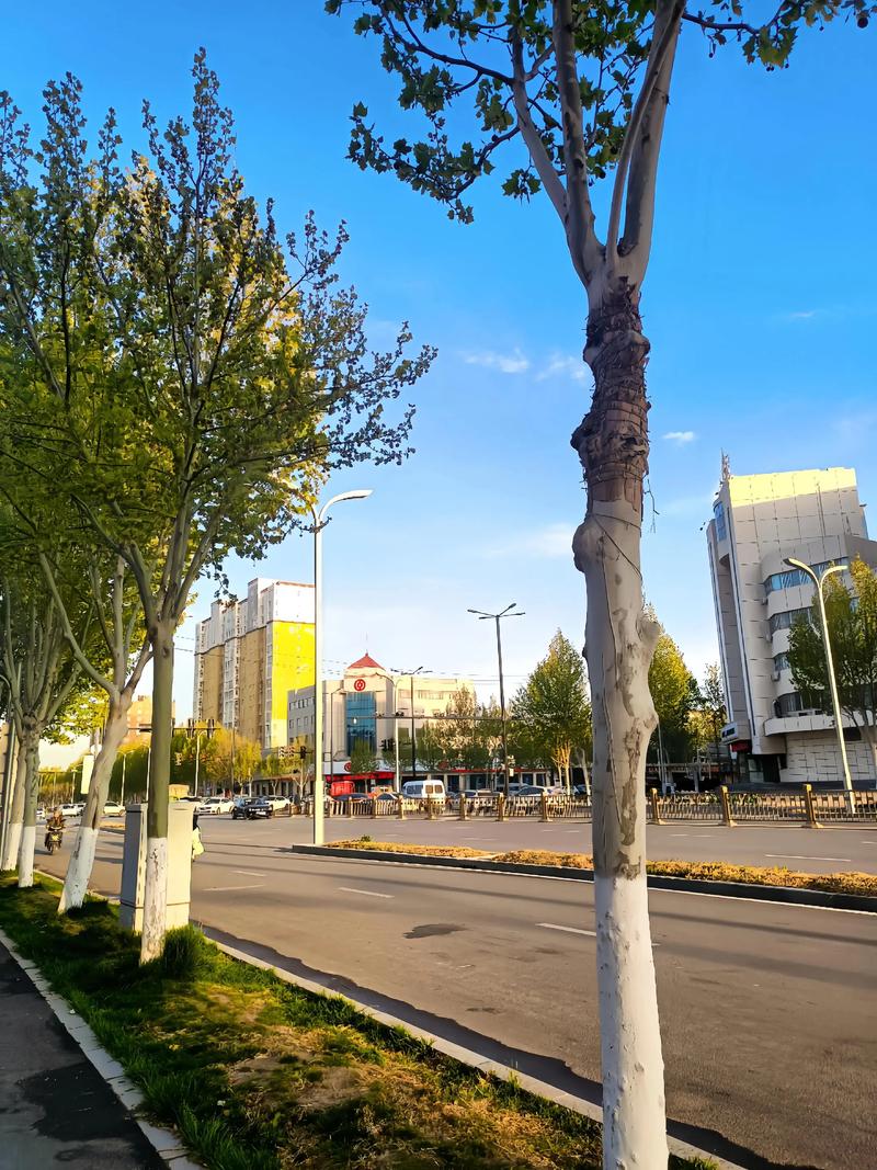 尉氏县十五天天气预报，河南省尉氏县十五天天气预报？-第4张图片-优品飞百科