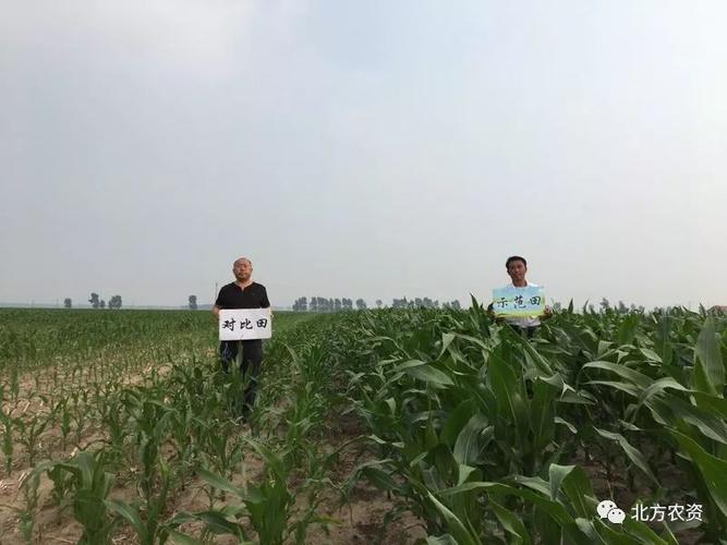 吉林省四平市梨树县天气预报，四平市梨树县天气30天-第1张图片-优品飞百科