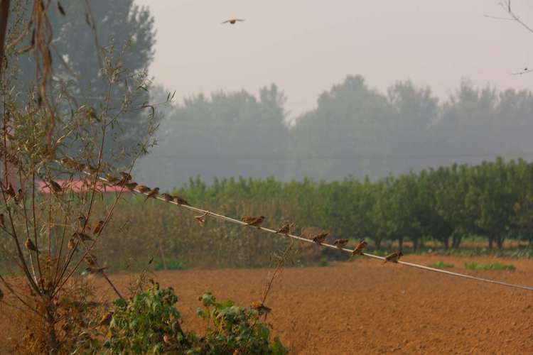 西华县天气预报，西华县天气预报7天？-第5张图片-优品飞百科