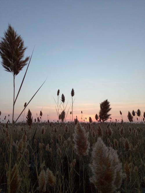车排子天气预报，车排子天气预报来源？-第1张图片-优品飞百科