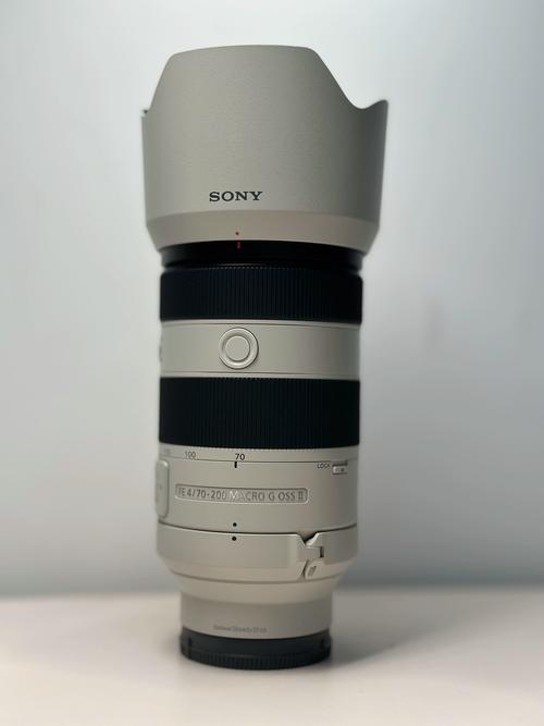 索尼微单相机排名榜前十名？索尼顶级微单？-第4张图片-优品飞百科