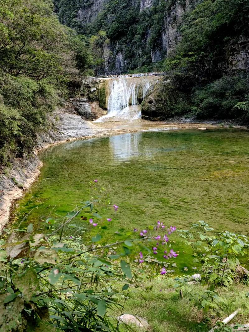 青龙天气预报，青龙天气预报40天-第5张图片-优品飞百科