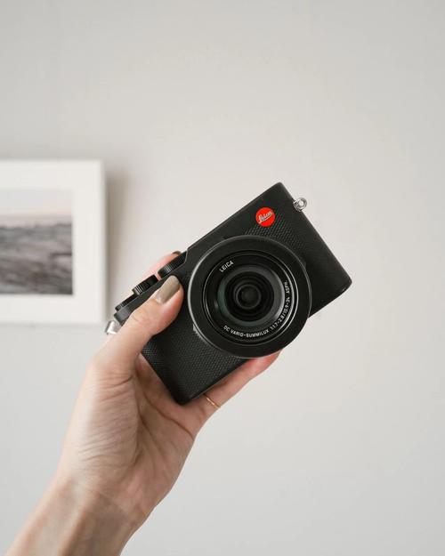 莱卡相机大全，莱卡相机测评？-第2张图片-优品飞百科