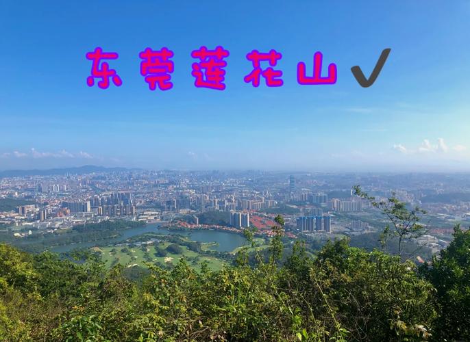 东莞长安镇天气预报，东莞长安镇天气预报最新今天查询？-第4张图片-优品飞百科