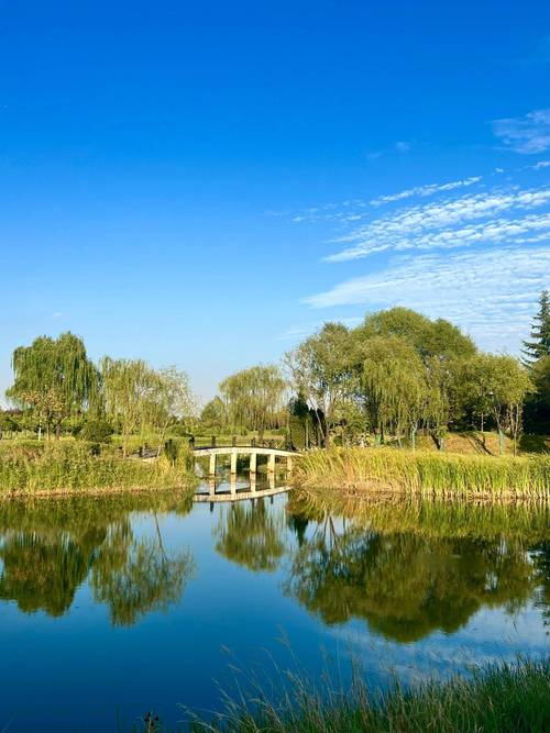 河南省周口市扶沟县天气预报，周囗市扶沟县天气？-第4张图片-优品飞百科