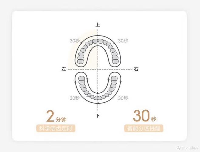 小米的电动牙刷怎么样，小米电动牙刷三款对比-第2张图片-优品飞百科