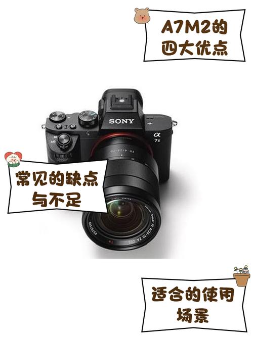 索尼29i音质怎么样？索尼299？-第2张图片-优品飞百科