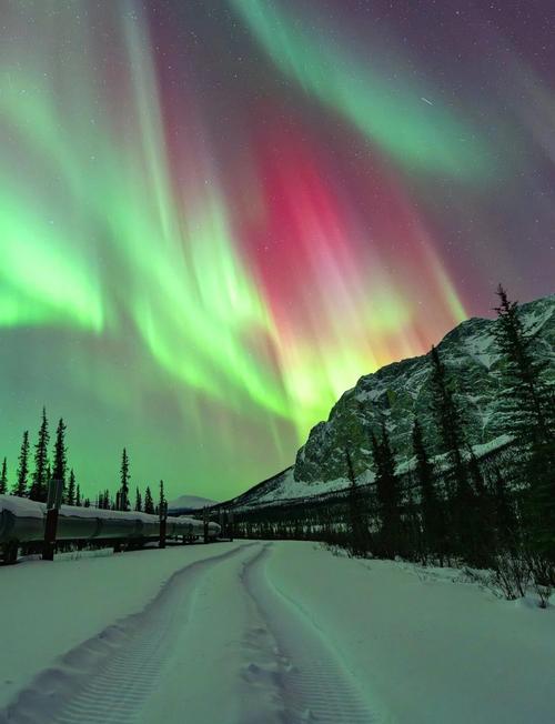 漠河天气预报？漠河天气预报40天？-第3张图片-优品飞百科