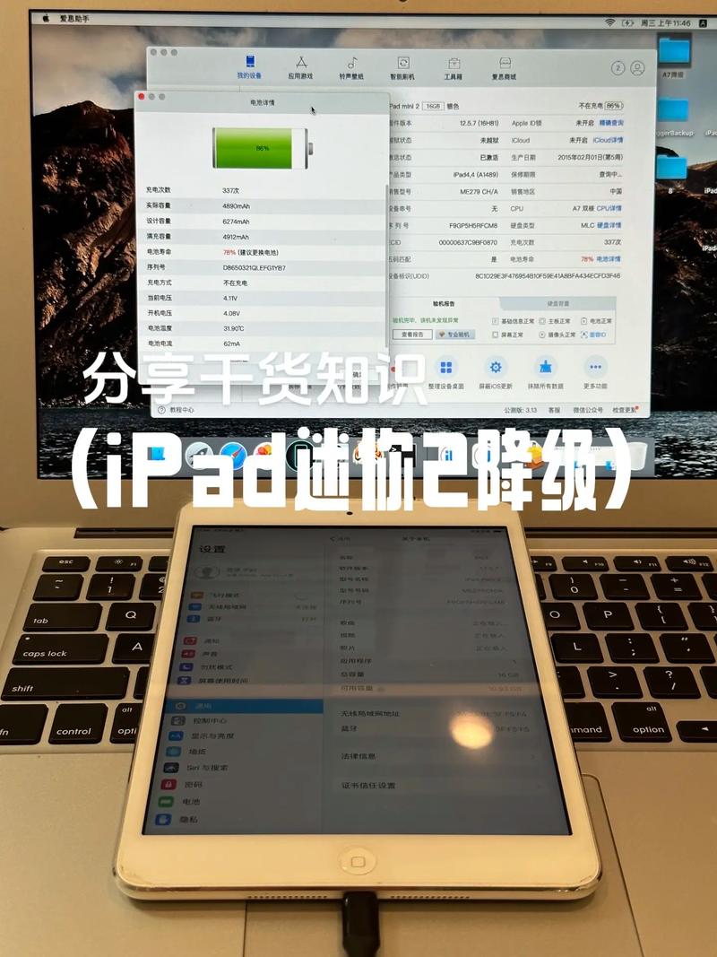 苹果平板mini16g多少钱，苹果迷你16g平板电脑-第3张图片-优品飞百科
