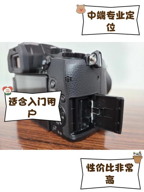 松下1260镜头适合拍什么？松下1260相当于佳能什么镜头？-第3张图片-优品飞百科