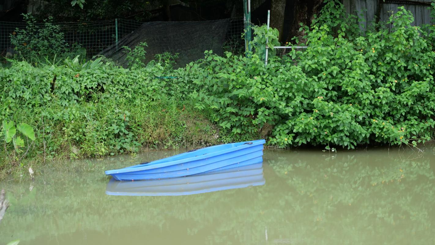 松下1260镜头适合拍什么？松下1260相当于佳能什么镜头？-第5张图片-优品飞百科