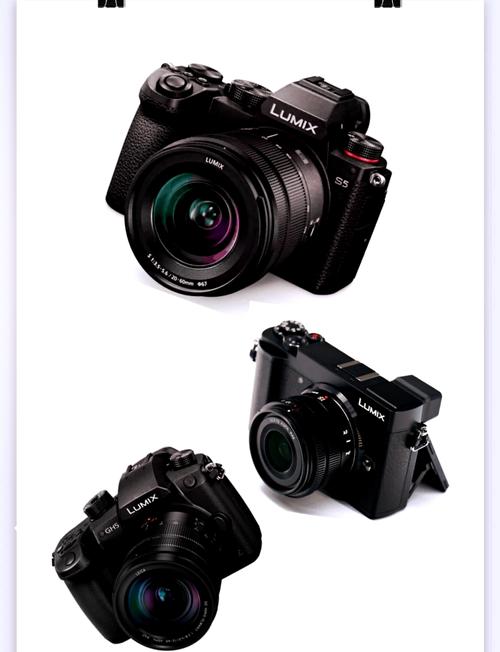 松下1260镜头适合拍什么？松下1260相当于佳能什么镜头？-第6张图片-优品飞百科