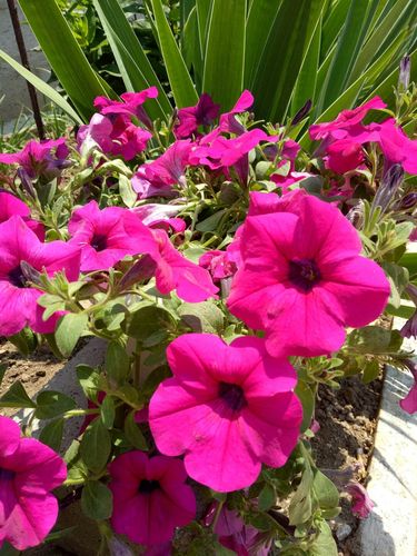 丹东天气预报15天查询系统，辽宁丹东天气预报15天查询？-第3张图片-优品飞百科