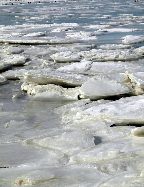 武强县天气预报，武强县天气预报今天几点下雨？-第1张图片-优品飞百科