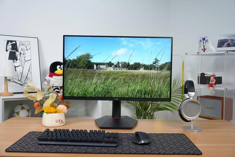 电脑显示器要多少钱一台，一般的显示器多少钱-第1张图片-优品飞百科