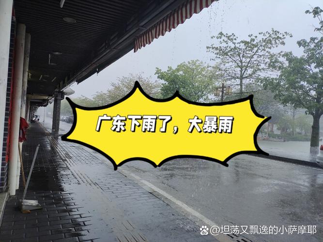 台山市天气预报，台山市天气预报15天查询百度-第4张图片-优品飞百科