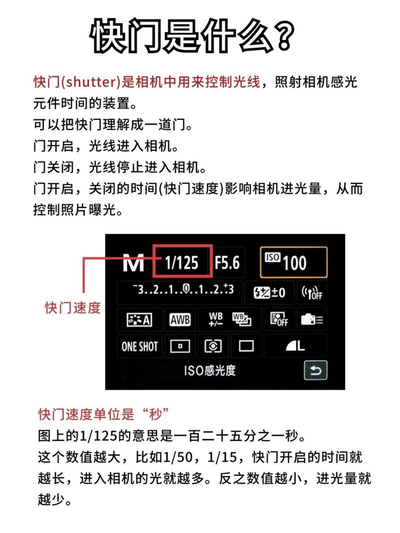 佳能单反快门次数查询？佳能相机快门次数查看？-第2张图片-优品飞百科