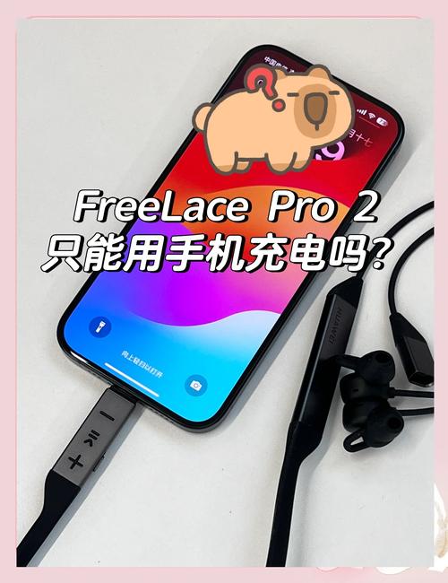 魅族v8开发者选项怎么打开？魅族开发者模式怎么调最流畅？-第2张图片-优品飞百科