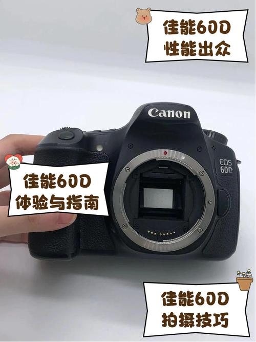 佳能600d是哪年上市的，佳能600d刚上市是多少钱？-第2张图片-优品飞百科