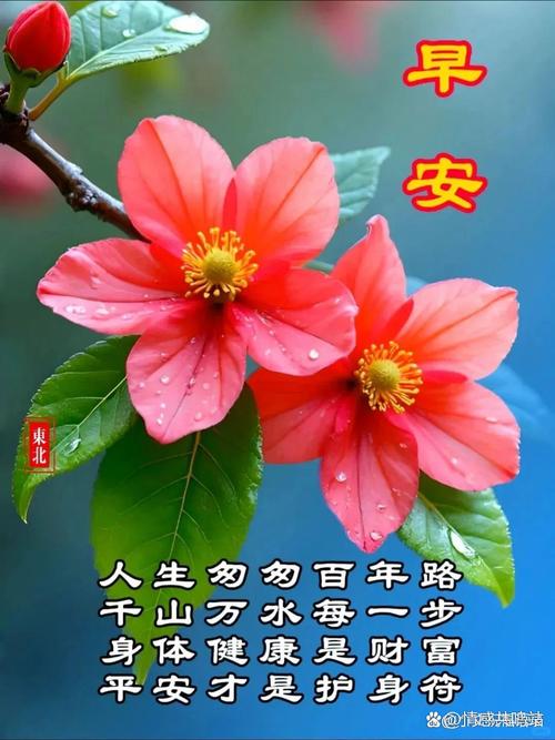 博兴县天气预报，博兴县天气预报下载安装？-第3张图片-优品飞百科