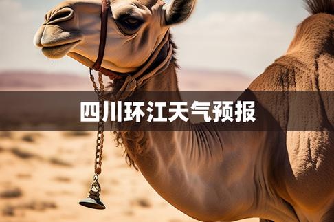 河池天气预报？百色天气预报？-第2张图片-优品飞百科