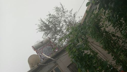 平安区天气预报，平安区天气预报24小时详情？