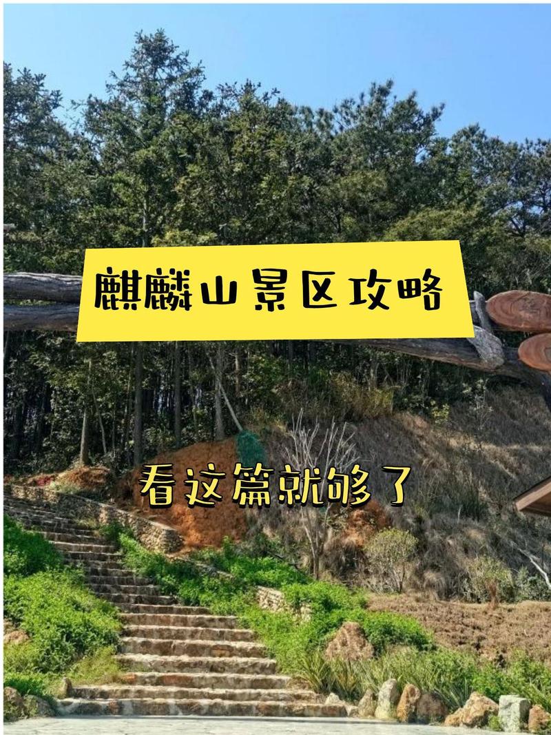 鸡东县天气预报，鸡东县天气预报15天的-第1张图片-优品飞百科