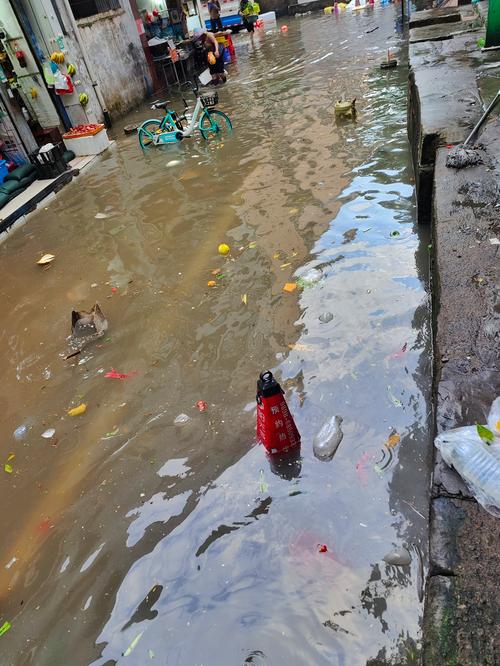 深圳龙华区天气预报，刚刚!深圳发布台风预警!-第4张图片-优品飞百科