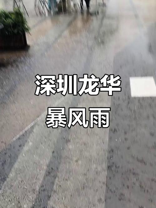 深圳龙华区天气预报，刚刚!深圳发布台风预警!-第5张图片-优品飞百科
