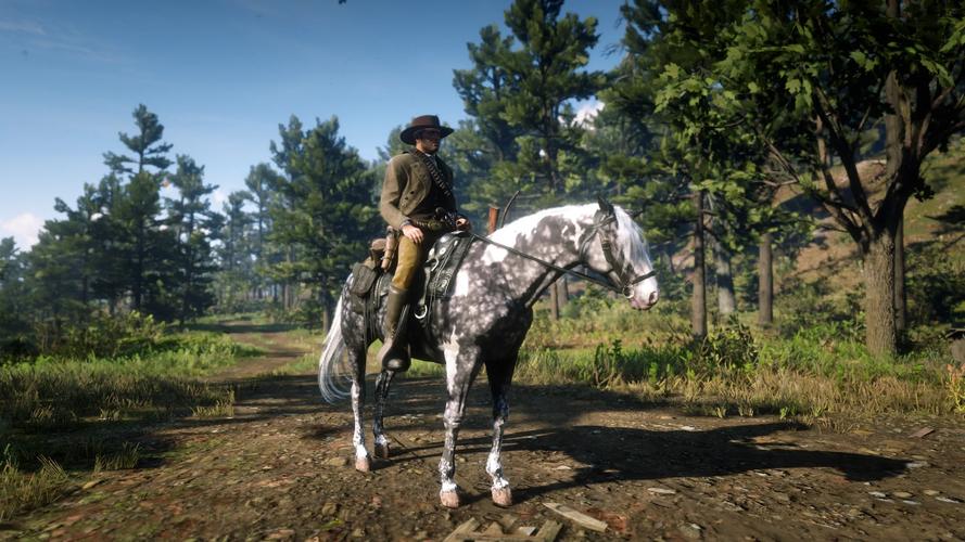 mx350能玩荒野大镖客2吗，mx350能玩大表哥2吗-第4张图片-优品飞百科