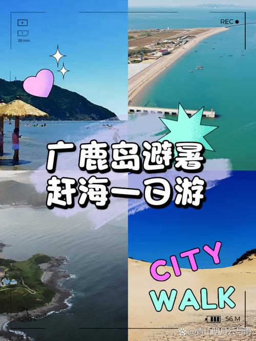 广鹿岛天气预报，广鹿岛 天气-第2张图片-优品飞百科