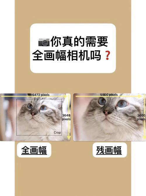 数码相机全画幅半幅有什么区别?，相机全画幅和半画幅的意思？-第5张图片-优品飞百科