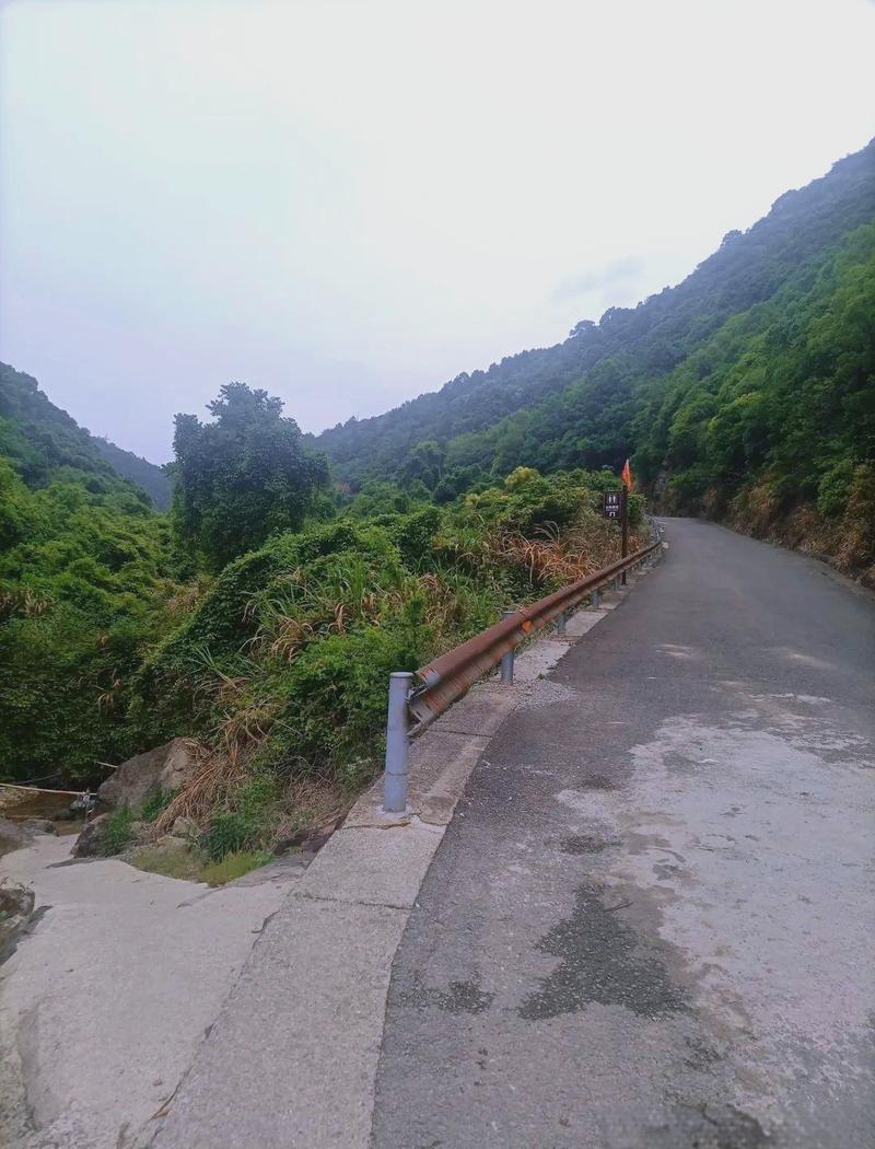 翠峦天气预报，翠峦天气预报30天-第2张图片-优品飞百科