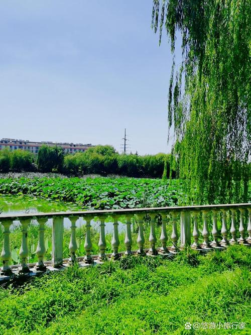 盐城亭湖天气预报，盐城亭湖天气预报最新信息-第1张图片-优品飞百科