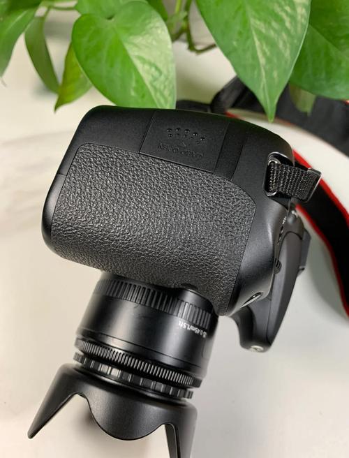 佳能70d和70d的区别，佳能70d和700d的区别是什么？-第2张图片-优品飞百科