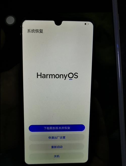 华为p30系统崩溃怎么办？华为p30今天系统升级了？-第4张图片-优品飞百科