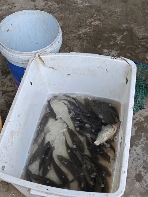 瓶窑天气预报，瓶窑天气预报24小时？-第5张图片-优品飞百科