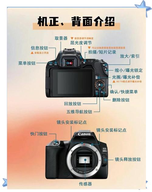 佳能200d二代和800d哪个值得买？佳能200d2代和800d哪个好？