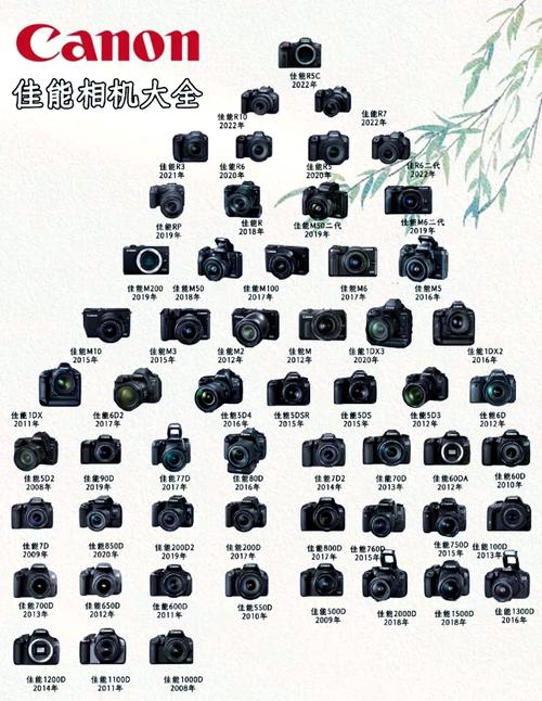 佳能200d二代和800d哪个值得买？佳能200d2代和800d哪个好？-第4张图片-优品飞百科