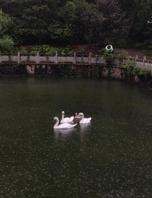 石阡县天气预报？石阡县天气预报15天准确？-第2张图片-优品飞百科