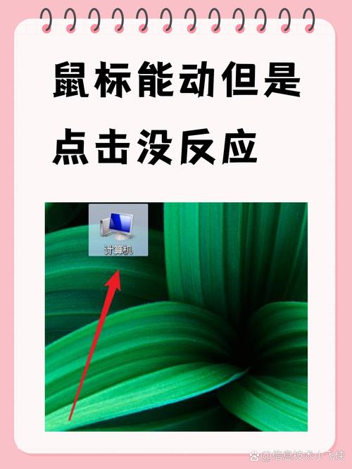 鼠标能点？鼠标能点不能动是怎么回事？-第4张图片-优品飞百科