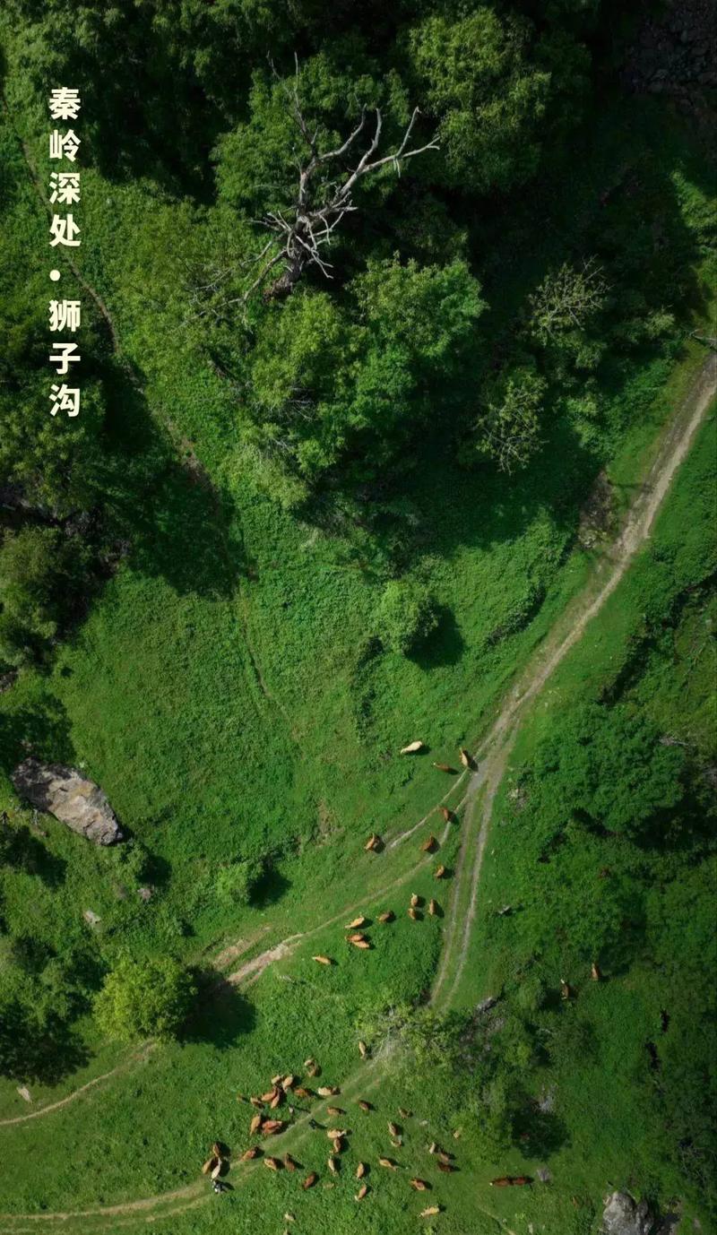 陕西靖边天气预报？陕西三原县天气预报15天？-第2张图片-优品飞百科