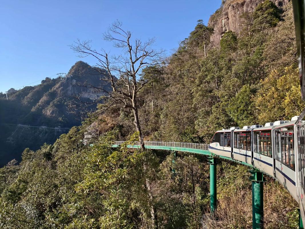 莲都区天气预报，莲都区天气预报24小时-第1张图片-优品飞百科