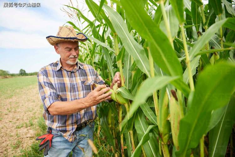 得州天气预报，dezhou天气？-第1张图片-优品飞百科