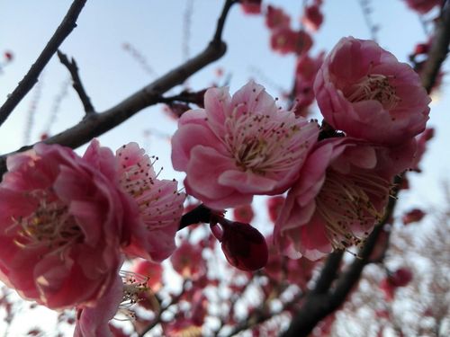 武进天气预报15天，武进天气实时预报-第3张图片-优品飞百科