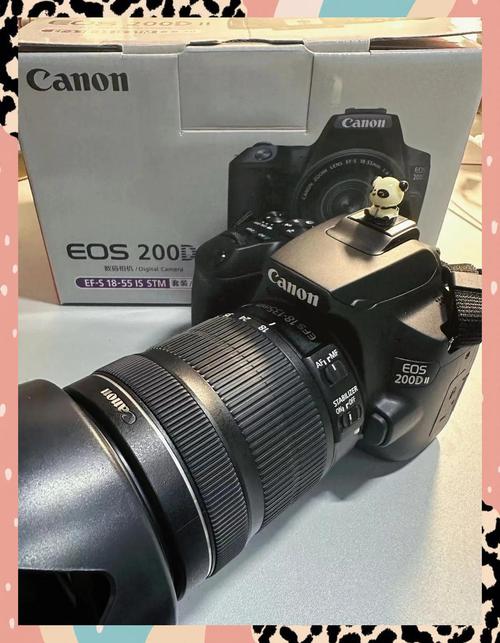 佳能200d二代和77d哪个好，佳能200d2和77d？-第2张图片-优品飞百科