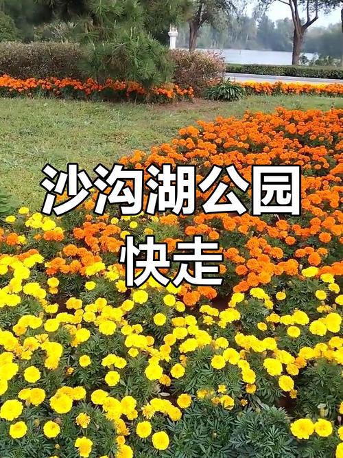 天气预报邳州市？天气预报邳州市港上镇？-第1张图片-优品飞百科