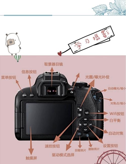 尼康d800自拍设置方法？尼康d800e自拍时间怎样设定？-第4张图片-优品飞百科