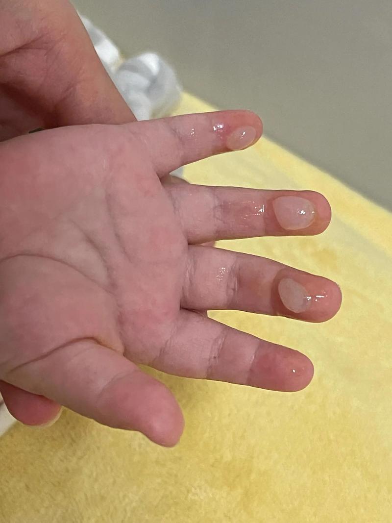 台州十五天天气预报？浙江台州15天的天气预报？-第6张图片-优品飞百科